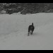 Monte Anderson Photo 25