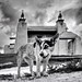 Samuel Packer Photo 14