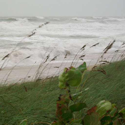 Joann Morrison Photo 31