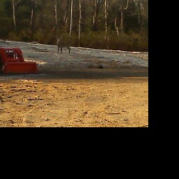Randy Welch Photo 35