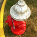 Holly Plumb Photo 13