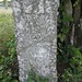 John Wiley Photo 14