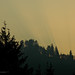 Ray Peterson Photo 19