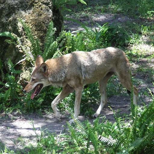 Luke Roth Photo 8