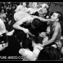Larry Schneider Photo 19