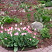 Rose Mize Photo 6