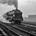 Tony Whittington Photo 14