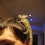 Rob Reid Photo 9