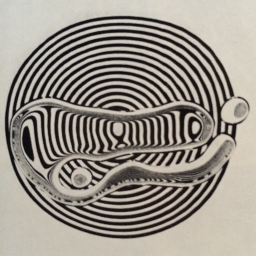 William Fitzgerald Photo 19