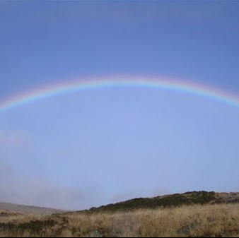 Sara Gaskill Photo 11