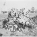 Margaret Dutton Photo 23