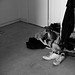 David Hund Photo 10