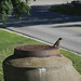 Robin Kemp Photo 15