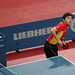 Qi Chen Photo 35