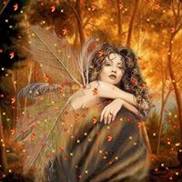 Patricia Coyle Photo 23