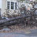 Gayle Russell Photo 25