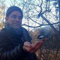 Michael Arsenault Photo 30