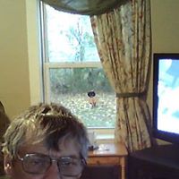 Daryl Bailey Photo 11