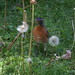 Robin Stirling Photo 11