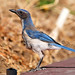 Jay Wester Photo 13