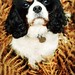 Delilah Winters Photo 9