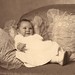 Donald Norton Photo 18