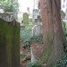 Nicholas Graves Photo 24