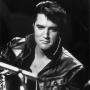 Debbie Wood Photo 8