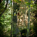 Joseph Pollard Photo 44