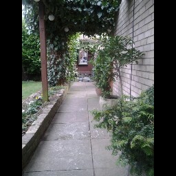 Lea Ward Photo 36