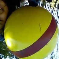 Alis Rodriguez Photo 9