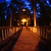 Sandy Park Photo 25