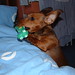 Frank Fang Photo 19
