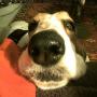 Donna Colson Photo 28