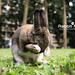 April Coy Photo 10