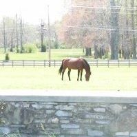 Kerrie Adams Photo 7