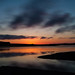 David Langan Photo 15