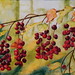 Donna Snyder Photo 12