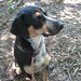 Gertrude Downing Photo 7