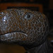 Eric Berg Photo 60