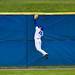 Kevin Lally Photo 41