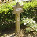 Joseph Camp Photo 15