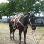Ruben Llamas Photo 22
