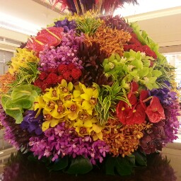 Joyce Choi Photo 27