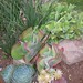 Sue Rowe Photo 17