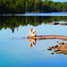 Erik Gustafsson Photo 21