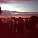 Dawn Morris Photo 16
