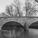 John Burnside Photo 43