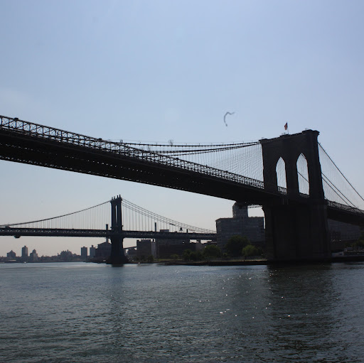 Elizabeth Morin Photo 34