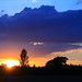 Sandy Heath Photo 7